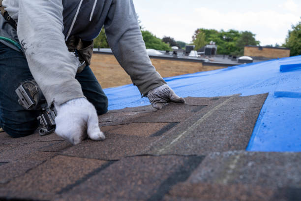 Best Roof Gutter Cleaning  in Henagar, AL